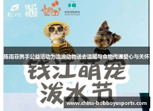 陈雨菲携手公益活动为流浪动物送去温暖与食物传递爱心与关怀