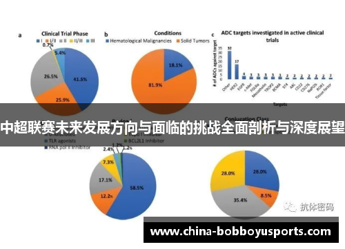 中超联赛未来发展方向与面临的挑战全面剖析与深度展望
