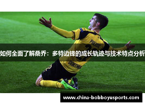如何全面了解桑乔：多特边锋的成长轨迹与技术特点分析