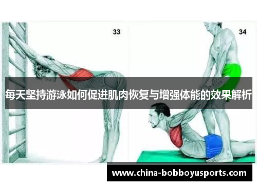 每天坚持游泳如何促进肌肉恢复与增强体能的效果解析